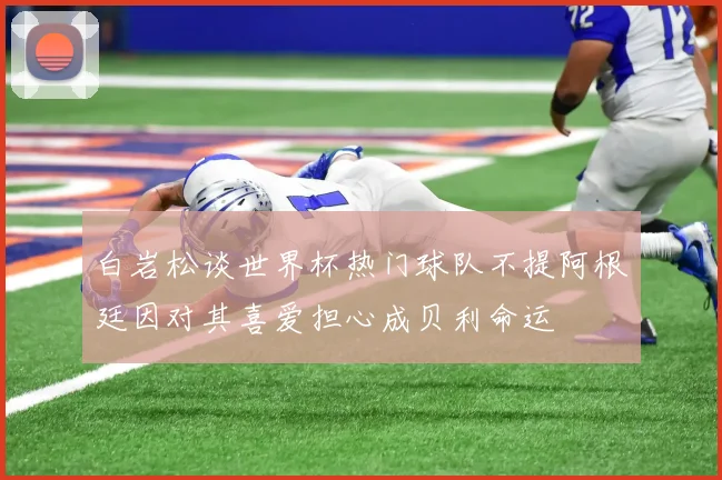 白岩松谈世界杯热门球队不提阿根廷因对其喜爱担心成贝利命运